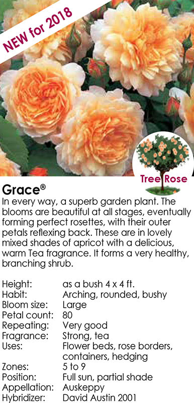 grace