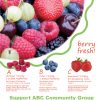FNR Spring 2016 Brochure