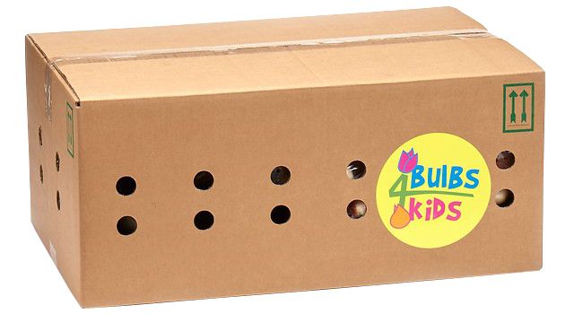 Boxcut - Bulbs 4 Kids