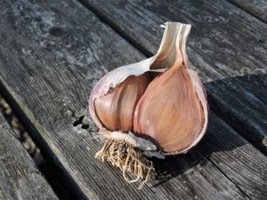 Russian Red Garlic