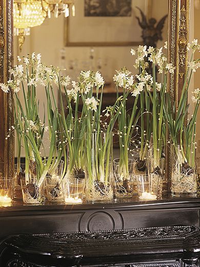 Paperwhite Flowers Decor Piano