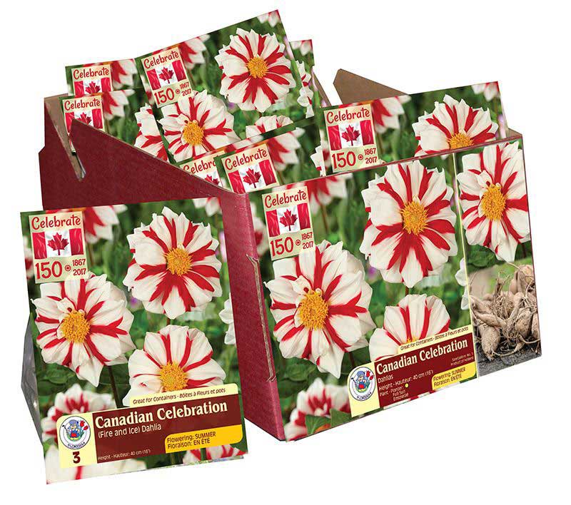 Canadian Celebration 2017 - Box