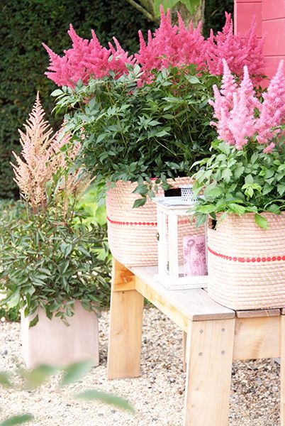 Outdoor Potted Garden on Wood Furniture