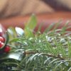 Florissa's Top 5 Gift Ideas